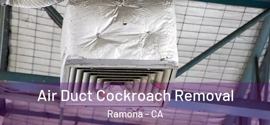  Air Duct Cockroach Removal Ramona - CA