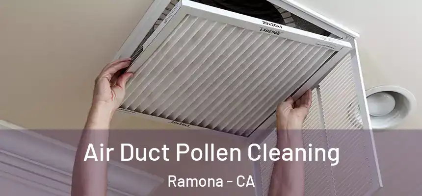  Air Duct Pollen Cleaning Ramona - CA