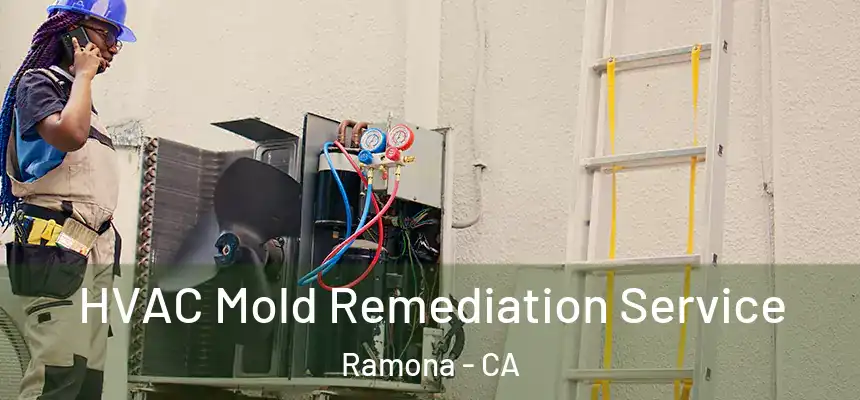  HVAC Mold Remediation Service Ramona - CA