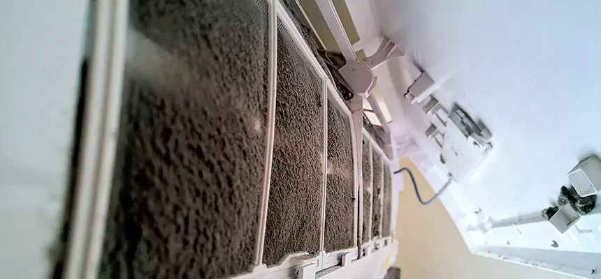 Preventive Air Duct Bacteria Removal in Ramona