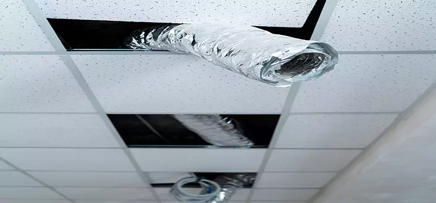 Our Air Duct Pet Hair Removal Services in Ramona, CA