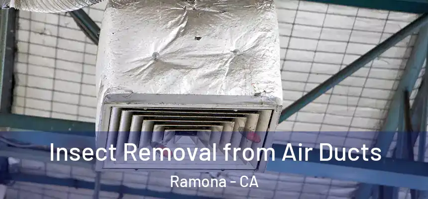  Insect Removal from Air Ducts Ramona - CA