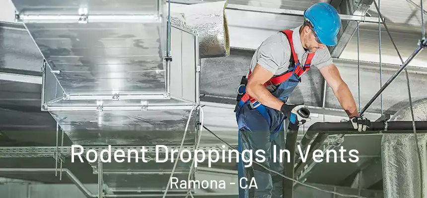  Rodent Droppings In Vents Ramona - CA