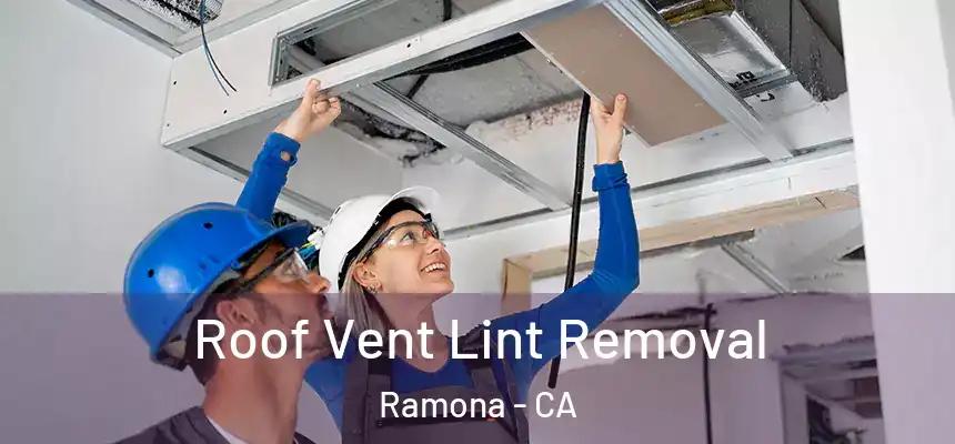  Roof Vent Lint Removal Ramona - CA