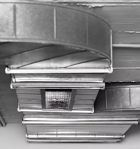 Professional Air Duct Pest Removal in Ramona, CA