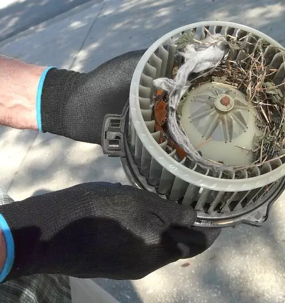 About Air Duct Rat Removal in Ramona, CA