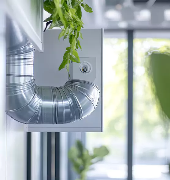 Professional Eco-Friendly Duct Cleaning Services in Ramona, CA