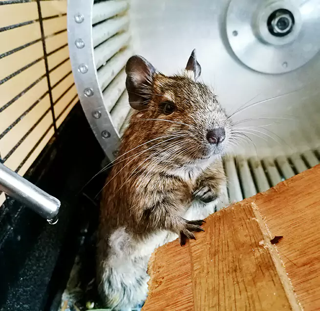 Why Homeowners & Businesses Trust Us Ramona, CA