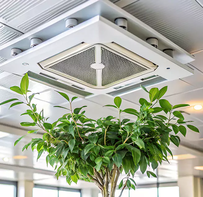 Why Homeowners & Businesses Trust Us in Ramona, CA